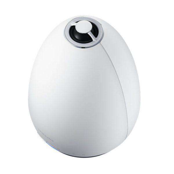 Wireless Multiroom Speaker